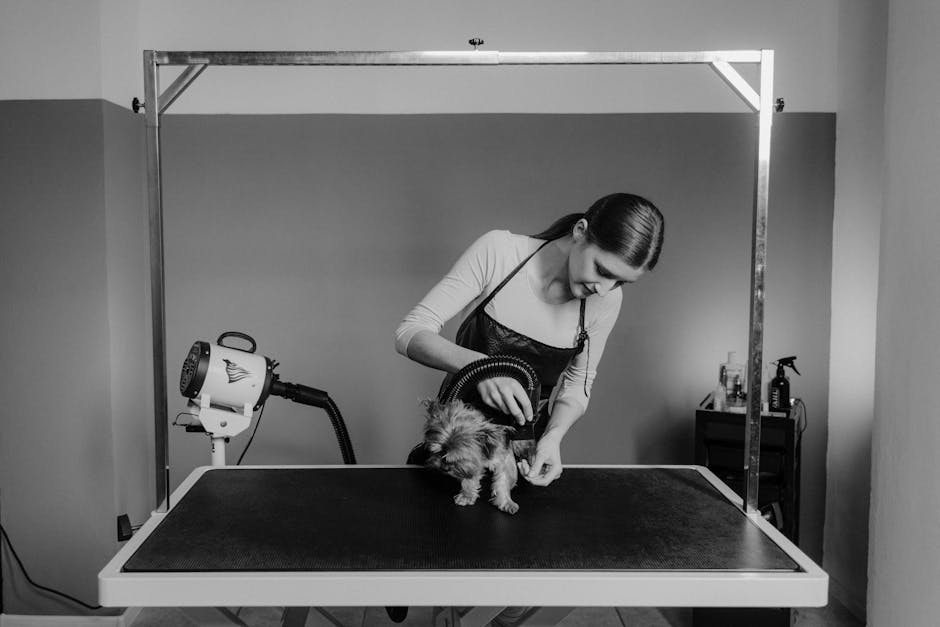 A groomer blow dries a Yorkshire Terrier on a grooming table in a salon.